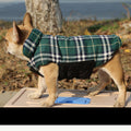 Pet Vest