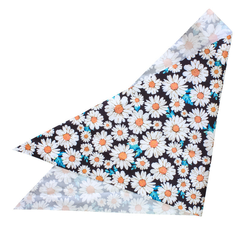 Pet Leash, Harness with Designs