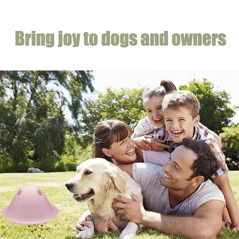Dog Chew Toy
