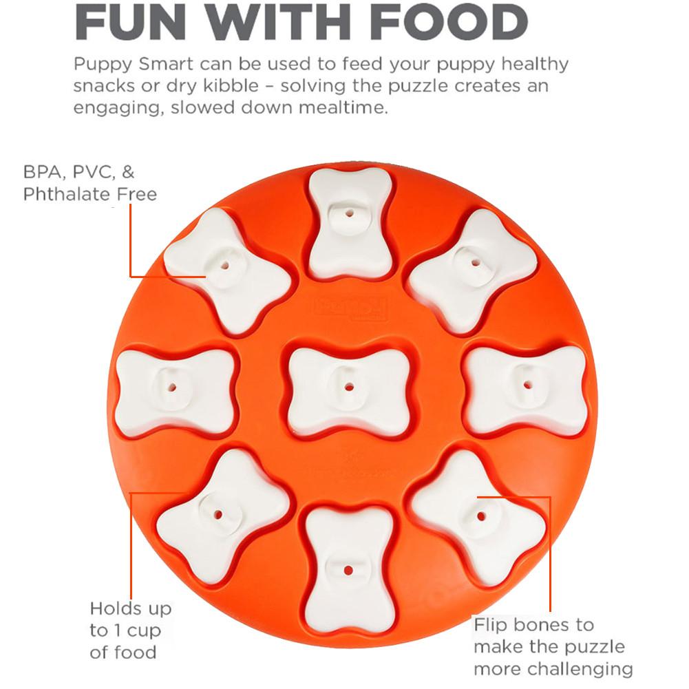 Dog Puzzle Toys raining