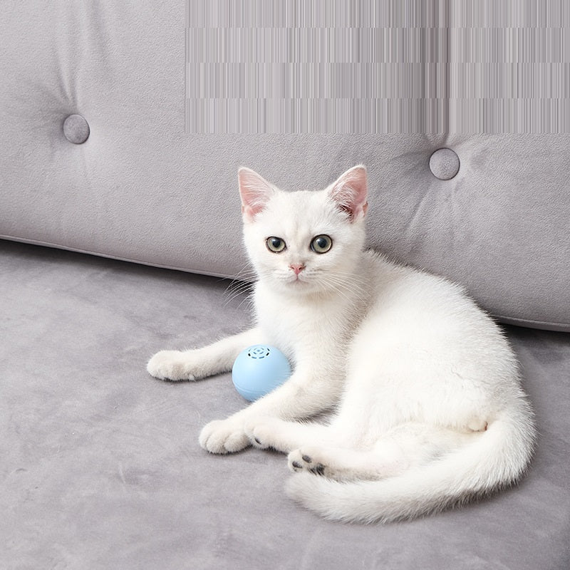 Cat Music Ball Sounds And Bites Toys