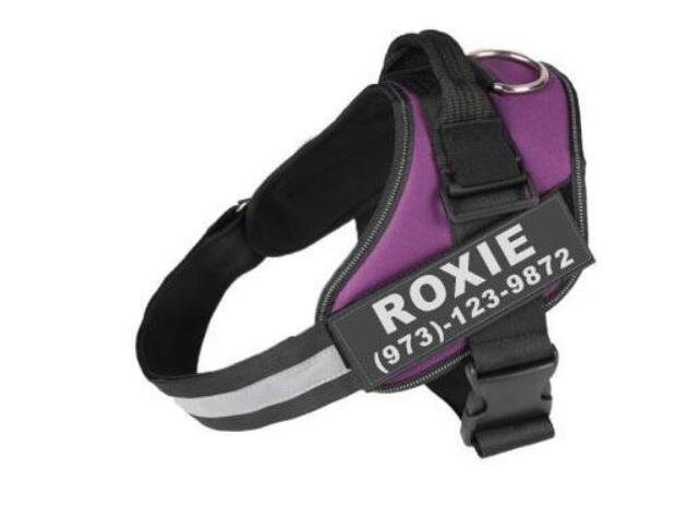 Personalized Dog Harness-No Pull- Reflective Small or Large Dog