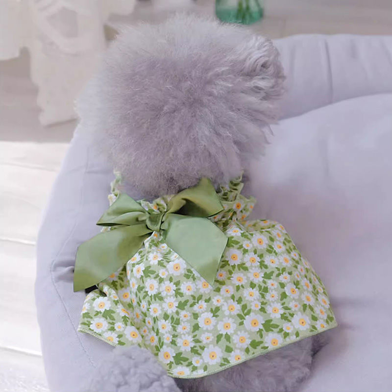 Cat or Dog Fashion Spring And Summer Strap Dress