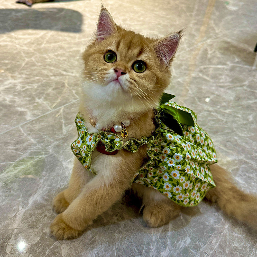 Cat or Dog Fashion Spring And Summer Strap Dress