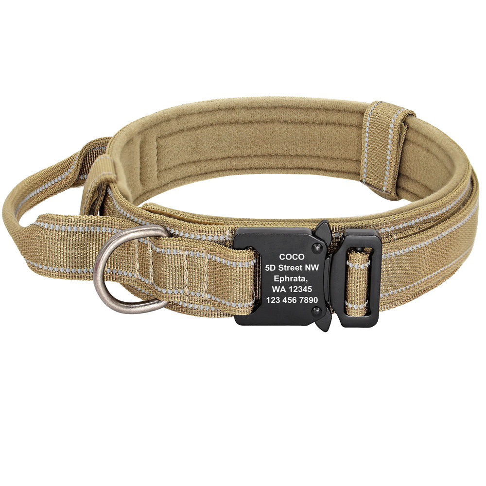 Dog Collars