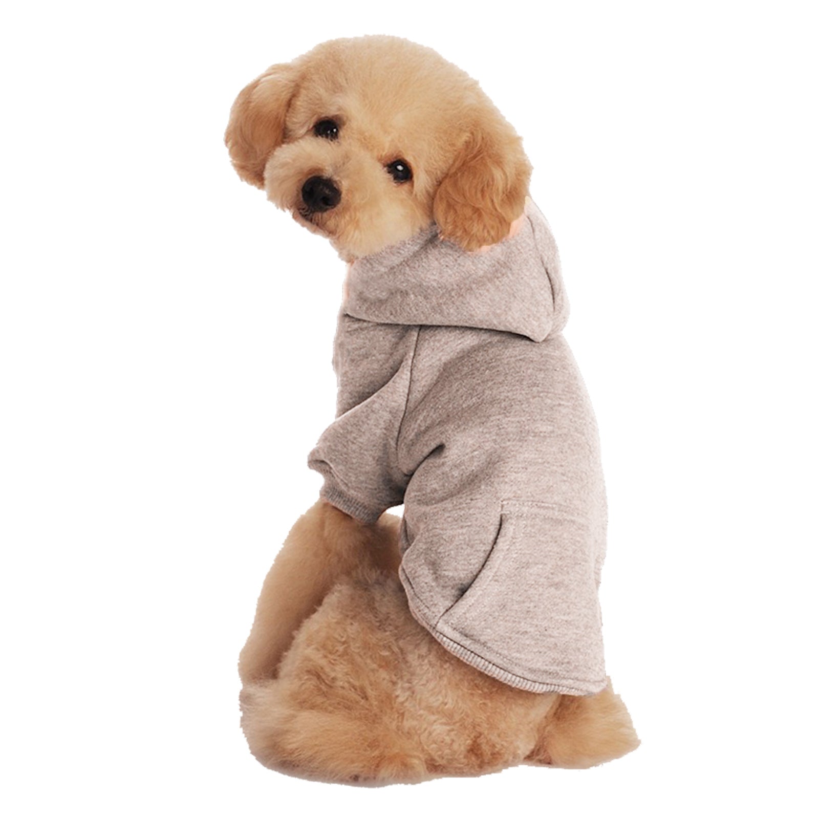 Small & Medium Sized Dogs & Cats Caps & Fleece