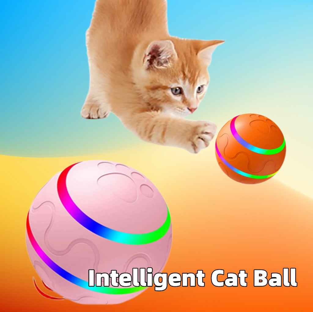 Cat Toy Interactive Ball