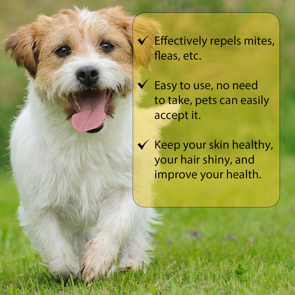 Cat And Dog External Fleas Lice Ticks Skin Care