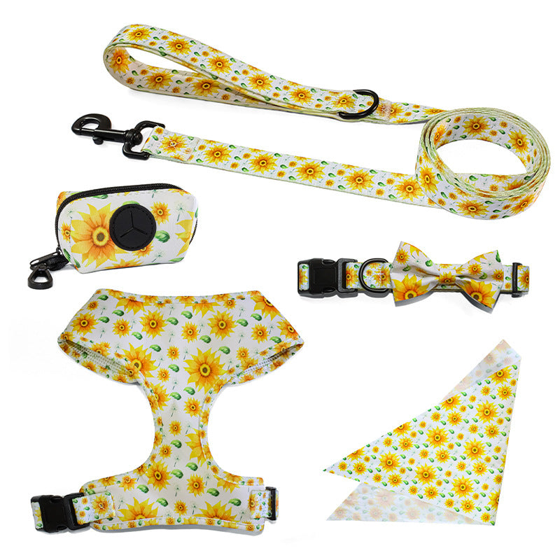 Pet Leash, Harness with Designs