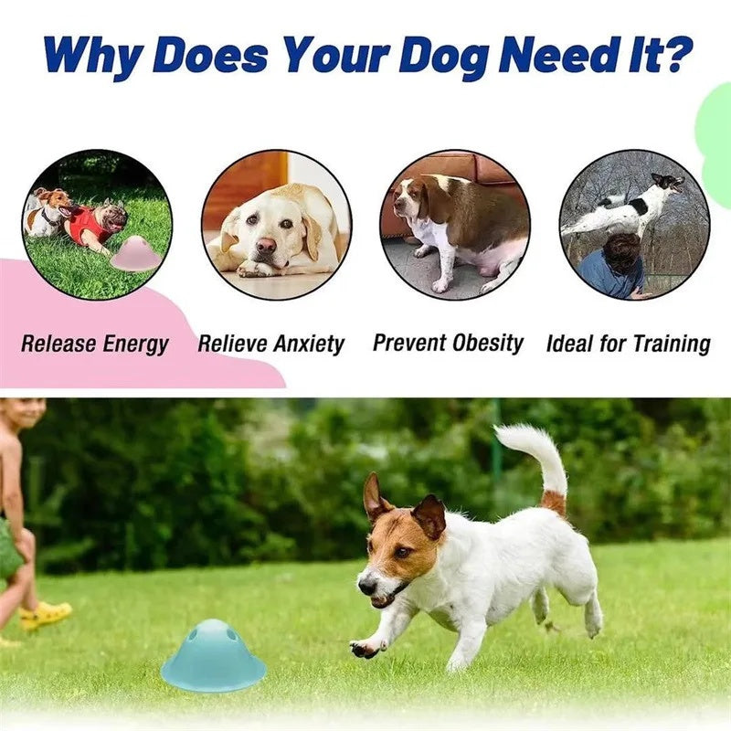 Dog Chew Toy