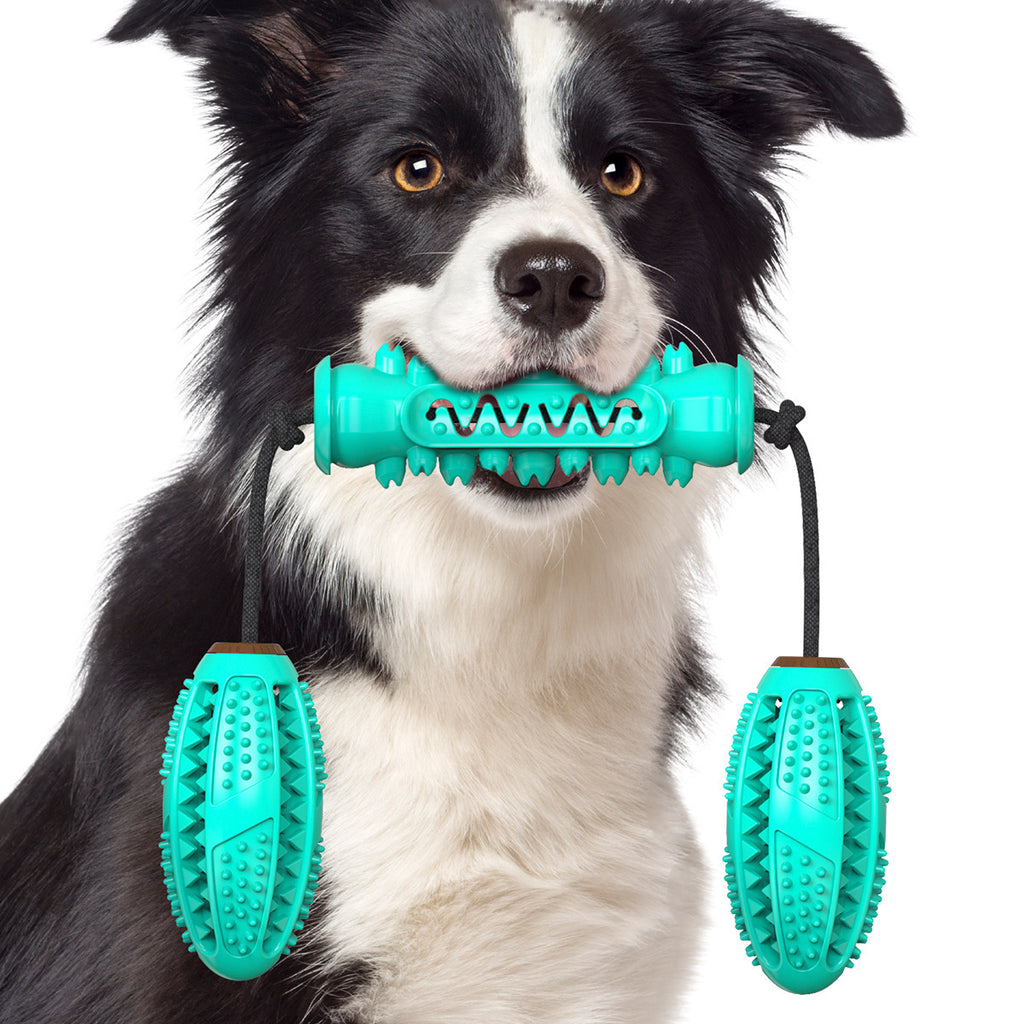 Dog Durable Chew Tug of War