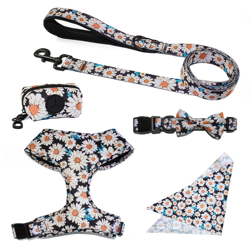 Pet Leash, Harness with Designs