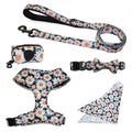 Pet Leash, Harness with Designs