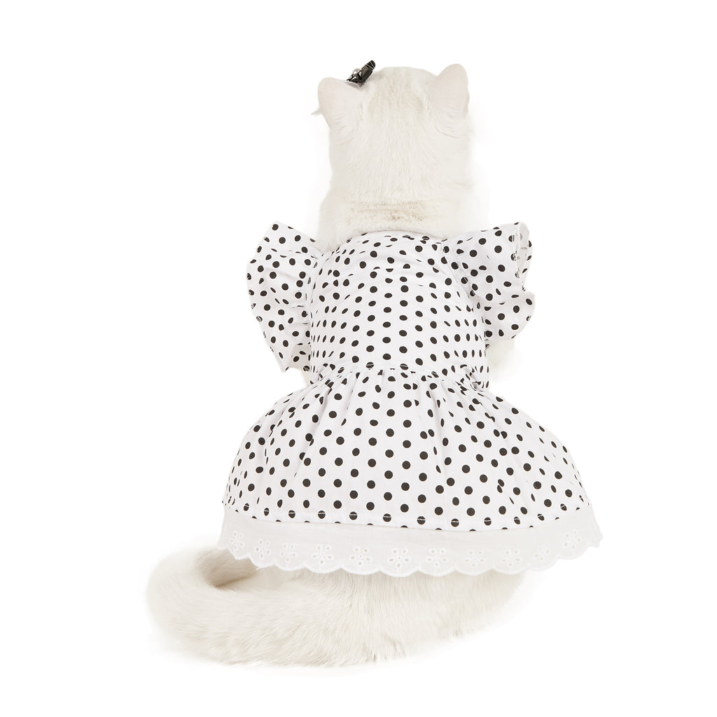 Black And White Polka Dot Dress Dog or Cat