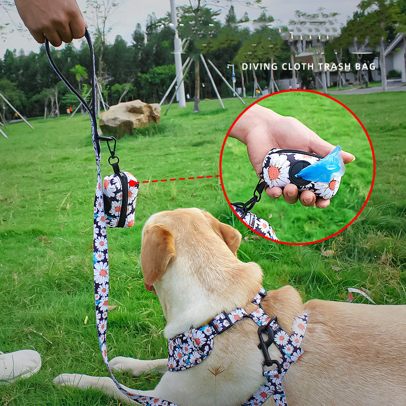 Pet Leash, Harness with Designs
