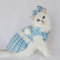 Cat Fashion Bow and Cute Dress